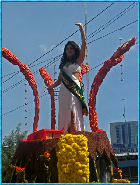 Reina del Patronato Provincial